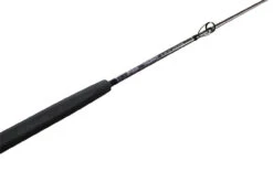 Accurate BV-80M Valiant Boat Rod