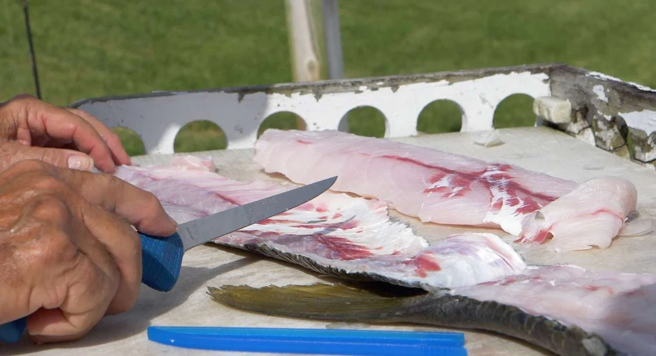 Cuda AquaTuff Fillet Knifes With Blade Cover 6 Cuda AquaTuff Fillet Knifes With Blade Cover - Image 6