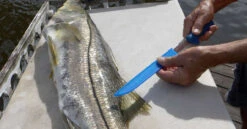 Cuda AquaTuff Fillet Knifes With Blade Cover 10 Cuda AquaTuff Fillet Knifes With Blade Cover -Fishing Shop cuda aquatuff fillet knifes with blade cover 70075.1676038841