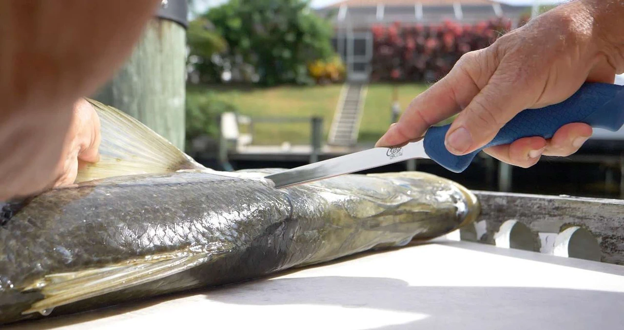 Cuda AquaTuff Fillet Knifes With Blade Cover 4 Cuda AquaTuff Fillet Knifes With Blade Cover - Image 4