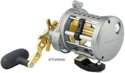 Daiwa Saltist Levelwind A Reels 8 Daiwa Saltist Levelwind A Reels -Fishing Shop daiwa saltist levelwind a reels 38721.1650807939