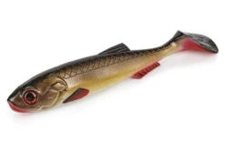 Molix Real Thing Shad 7in Swimbait -Fishing Shop molix real thing shad 7in 13911.1678981848