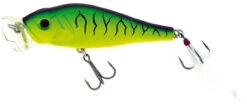 Molix Shaman Popper