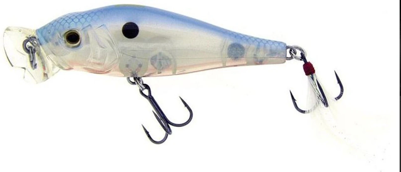 Molix Shaman Popper 5 Molix Shaman Popper - Image 5