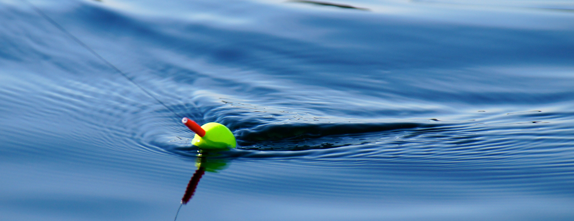 Fishing Shop -Fishing Shop photo 1526416469077 94d15f0e33bc