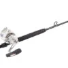Penn International 30VISXS / TackleDirect Platinum Hook Standup Combo