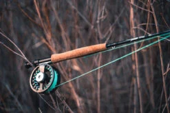 Temple Fork Outfitters NXT Black Label Fly Rod Kit -Fishing Shop temple fork outfitters nxt black label fly rod kit 61340.1668781819