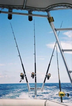 Tigress Triple Aluminum Kite Rod Holder